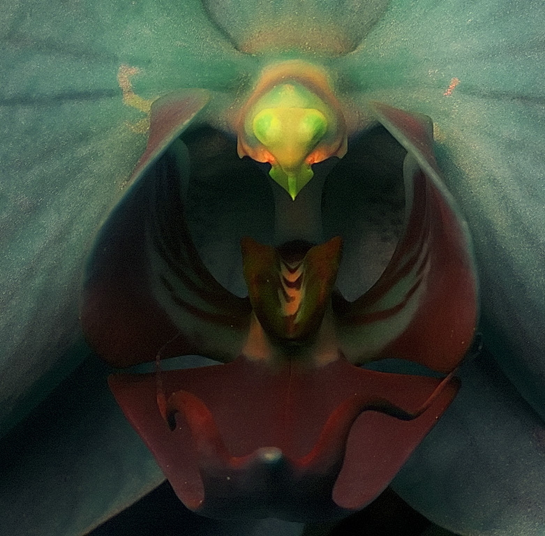 Ultraviolet Moth Orchid, by D70